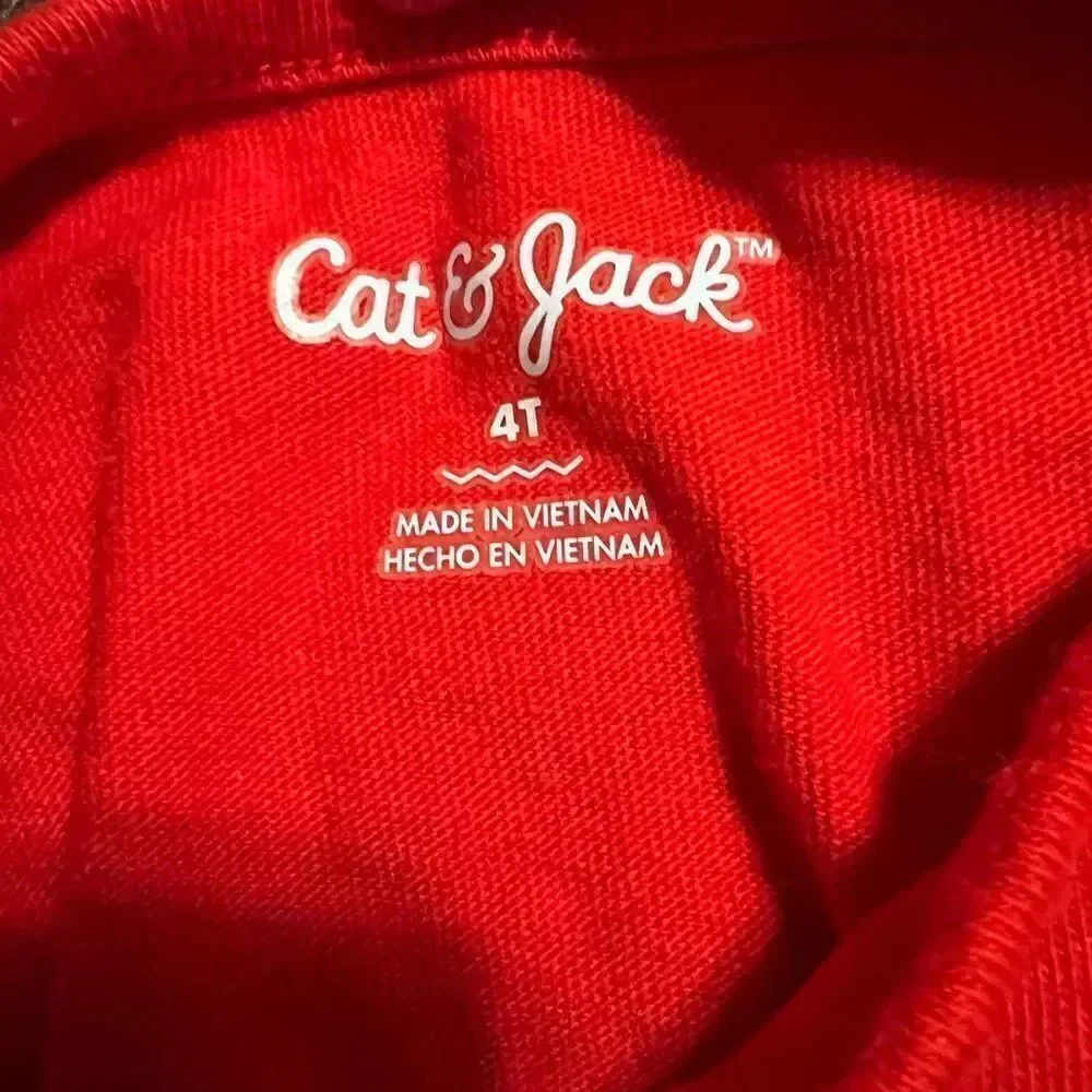 Cat & Jack size 4T holiday dress